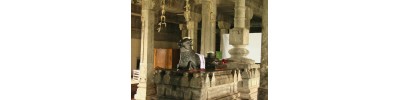 தென்குடி திட்டை